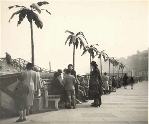 Photo:Artificial palms outside Joyland on the Sea Front