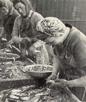 Photo:Fisher girls gutting the fish on the Quayside