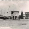 Page link: Postcards of the Wellington Pier and Winter Gardens