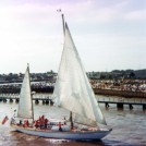 Photo: Illustrative image for the 'Tall Ships Race 1981' page